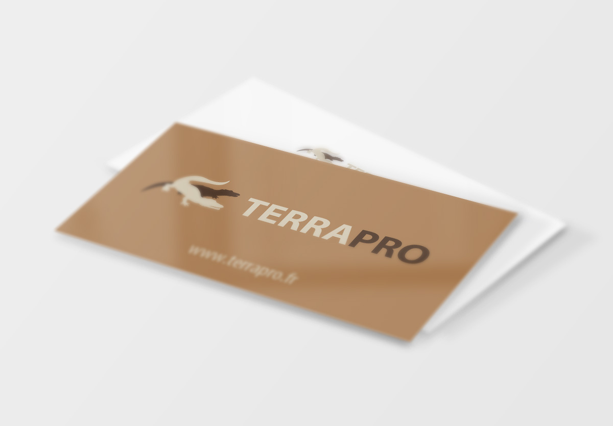 .Carte de Visite Terrapro 